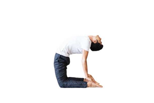 Yoga for Thyroid