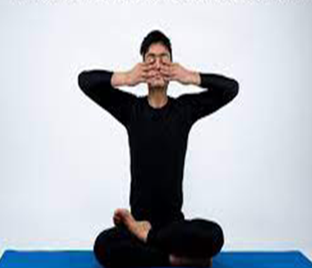 brahmari pranayama